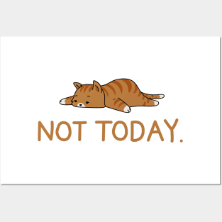 Sleepy Cat Not Today Tshirt, Cat Sticker, Sleepy Cat, Men Women Tshirt Posters and Art